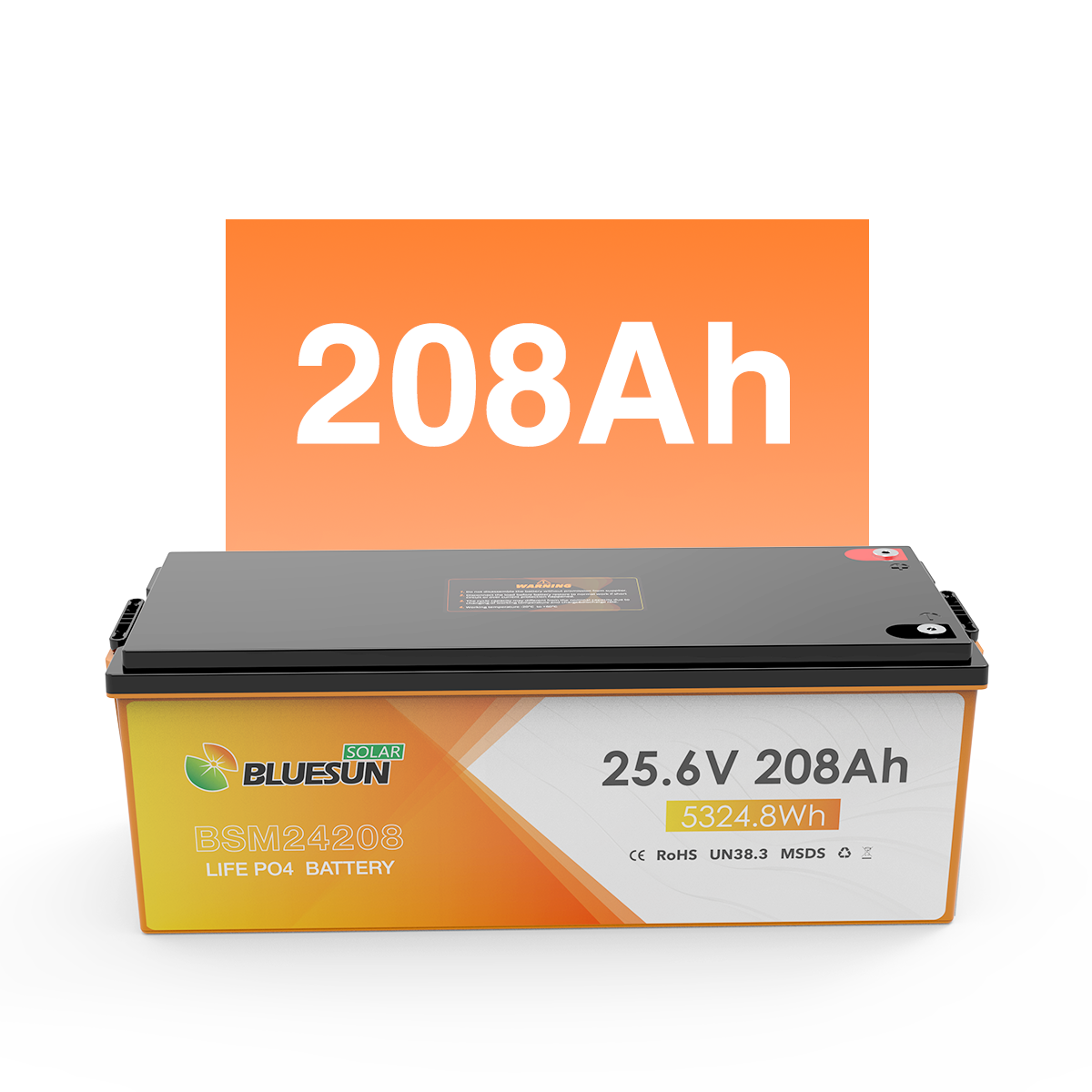 Batterie Lithium BSM 24V 208AH